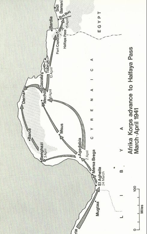 Rommel's Deutsches Afrika Korps 1941-1943 _39.jpg