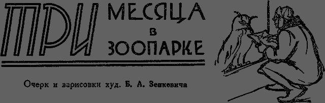 Всемирный следопыт 1929 № 10 _19_vzoo.png