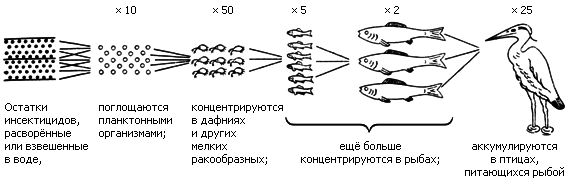 Яды в нашей пище i_001.png