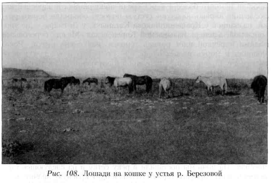 Путешествие по Камчатке в 1908--1909 гг. _109.jpg