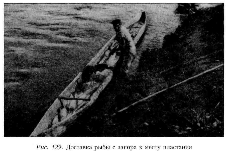 Путешествие по Камчатке в 1908--1909 гг. _129.jpg