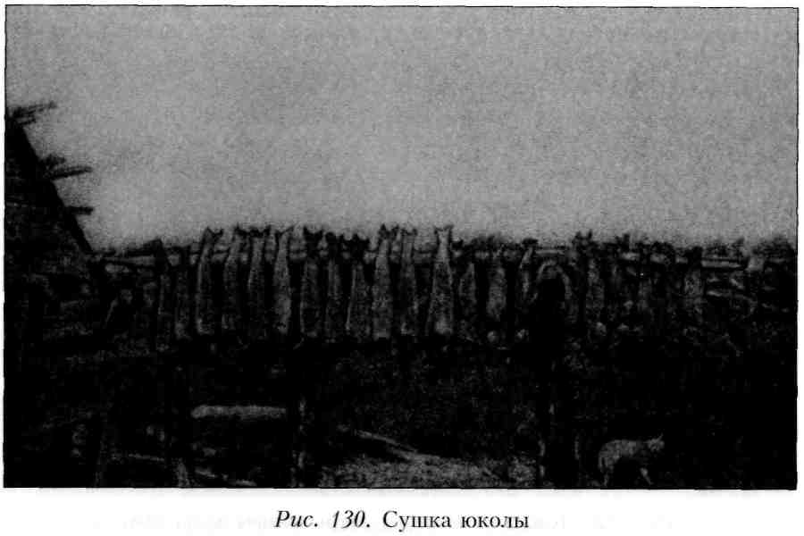 Путешествие по Камчатке в 1908--1909 гг. _130.jpg