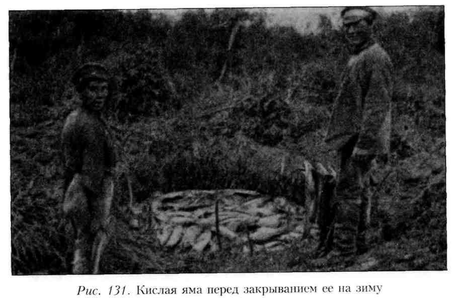 Путешествие по Камчатке в 1908--1909 гг. _131.jpg