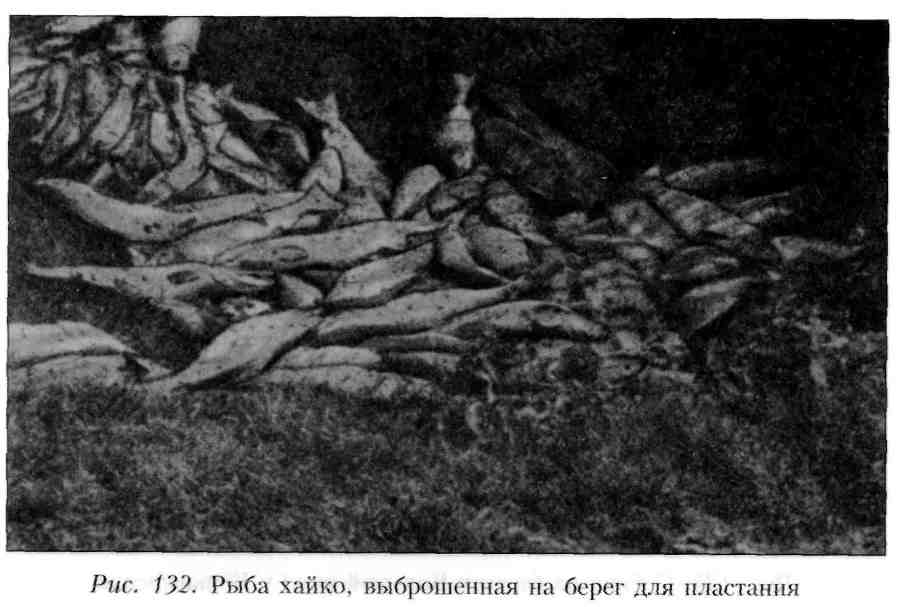 Путешествие по Камчатке в 1908--1909 гг. _132.jpg