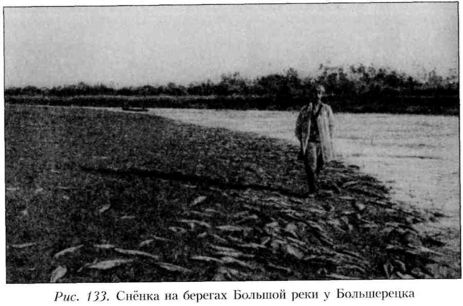 Путешествие по Камчатке в 1908--1909 гг. _133.jpg