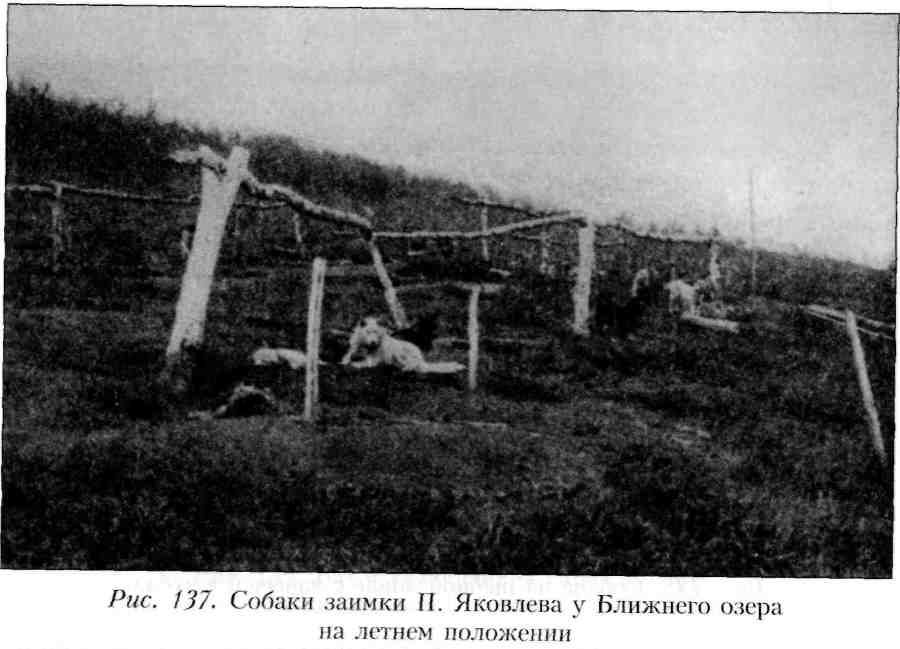 Путешествие по Камчатке в 1908--1909 гг. _137.jpg