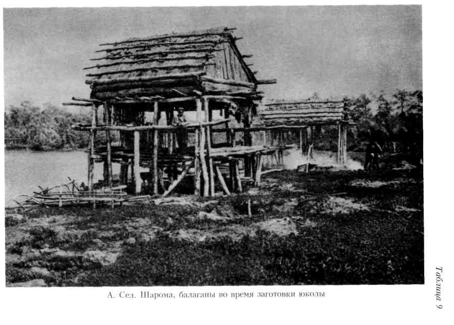 Путешествие по Камчатке в 1908--1909 гг. _151.jpg