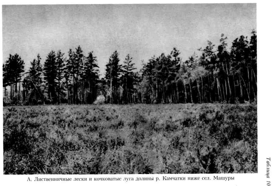 Путешествие по Камчатке в 1908--1909 гг. _154.jpg