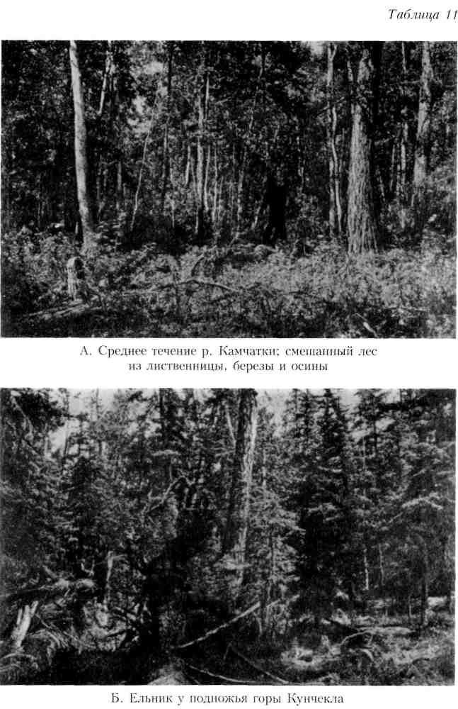 Путешествие по Камчатке в 1908--1909 гг. _156.jpg