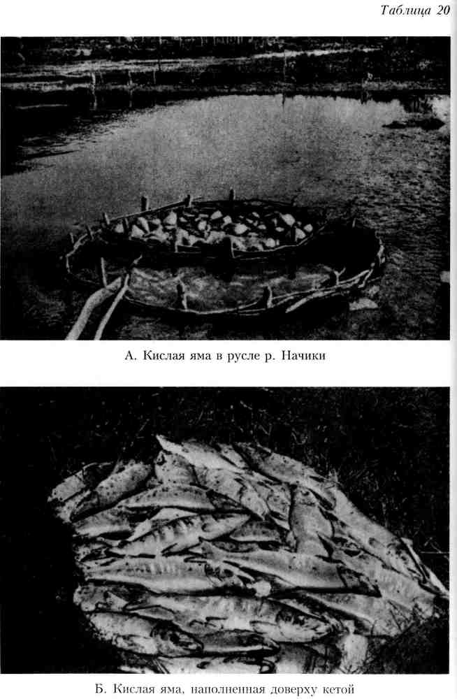 Путешествие по Камчатке в 1908--1909 гг. _169.jpg