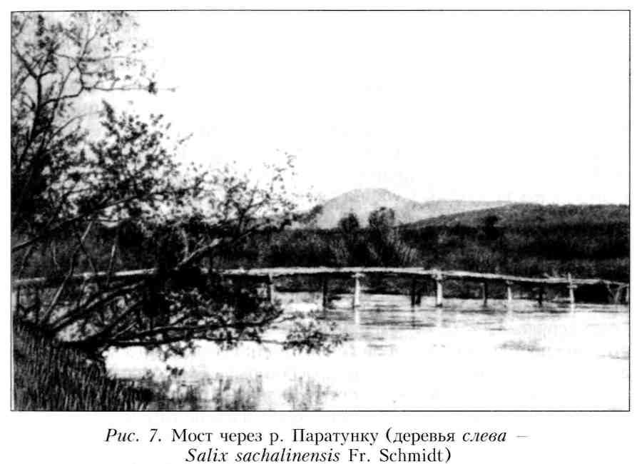 Путешествие по Камчатке в 1908--1909 гг. _8.jpg