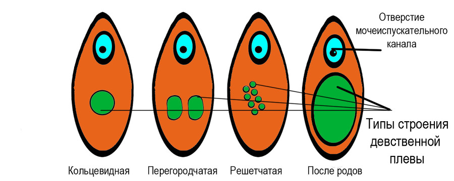 Половое воспитание детей и подростков image8_55f6895d4b46621515a73a1e_jpg.jpeg