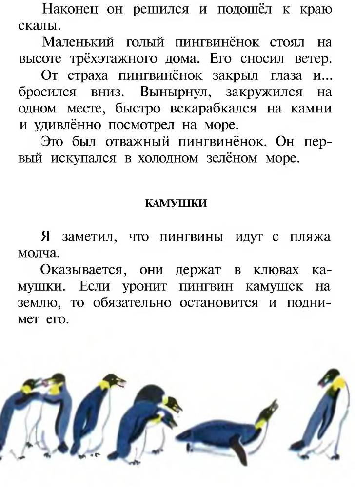 Про пингвинов _14.jpg