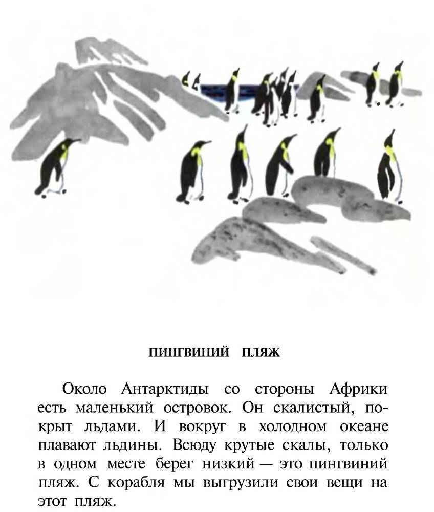 Про пингвинов _3.jpg