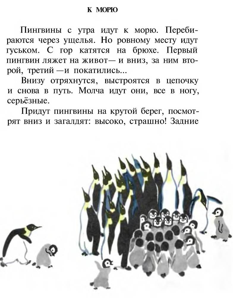 Про пингвинов _9.jpg
