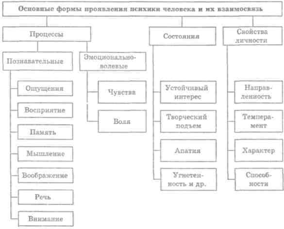 Основы психологии imagerId9.jpg