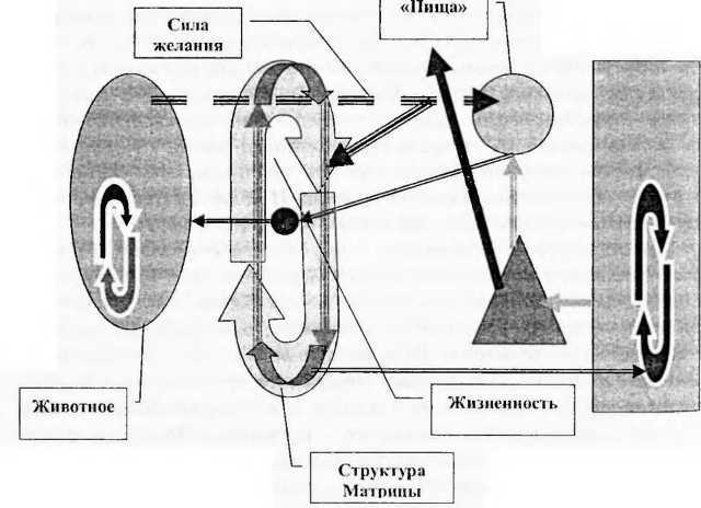 Магия бессмертия. Главный барьер i_101.jpg