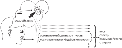 Искусство. Система навыков Дальнейшего ЭнергоИнформационного Развития _14.png