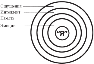 Зрелость. Система навыков Дальнейшего ЭнергоИнформационного Развития  _13.png