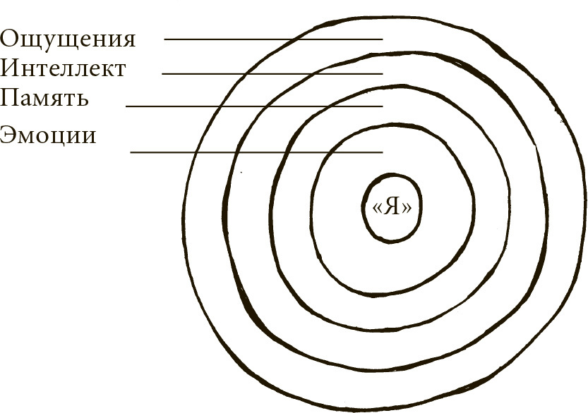 Техника одушевления предметов. Система навыков Дальнейшего ЭнергоИнформационного Развития ris17.jpg