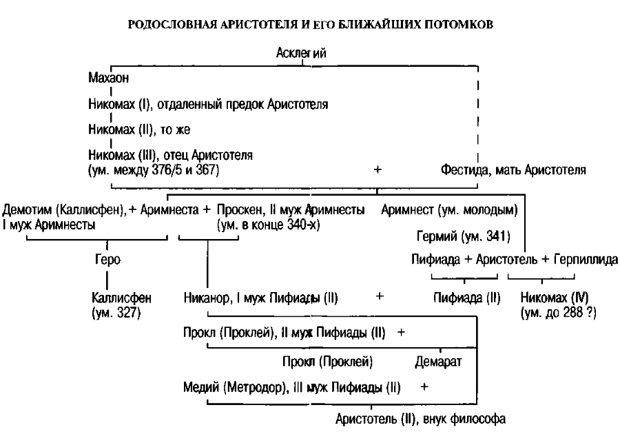 Аристотель. В поисках смысла _2.png