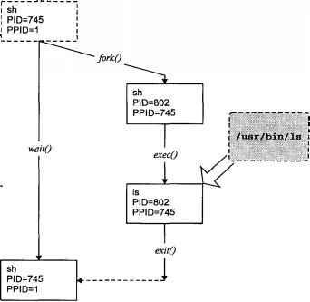 Операционная система UNIX img_8.jpeg