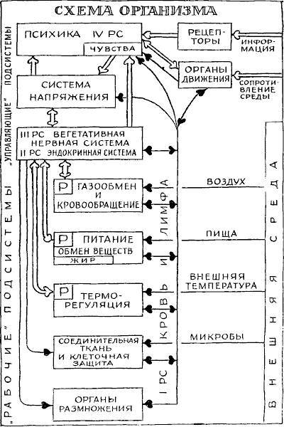 Раздумья о здоровье _4.jpg