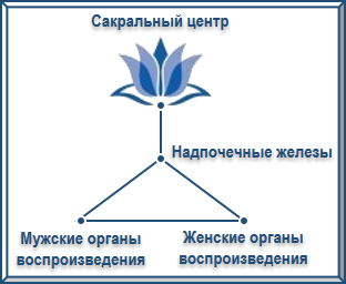 Эзотерическое целительство img_16.png