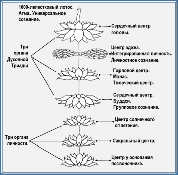 Эзотерическое целительство img_27.png