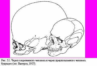 Читать - Оглавление - Книга "Теория Адекватного Питания И.