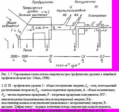 Читать - Оглавление - Книга "Теория Адекватного Питания И.