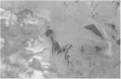 Перевал Дятлова. Загадка гибели свердловских туристов в феврале 1959 года и атомный шпионаж на советском Урале i_009.jpg