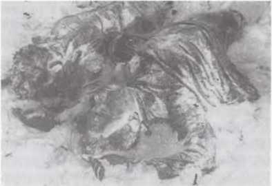 Перевал Дятлова. Загадка гибели свердловских туристов в феврале 1959 года и атомный шпионаж на советском Урале i_010.jpg