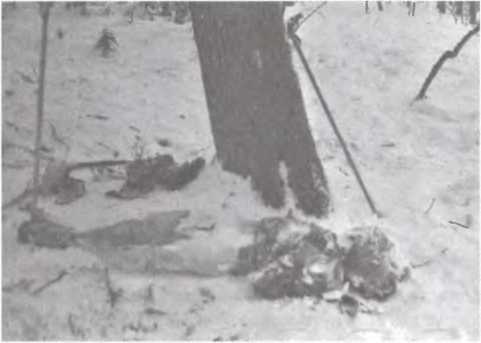 Перевал Дятлова. Загадка гибели свердловских туристов в феврале 1959 года и атомный шпионаж на советском Урале i_011.jpg