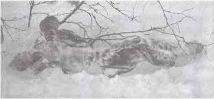 Перевал Дятлова. Загадка гибели свердловских туристов в феврале 1959 года и атомный шпионаж на советском Урале i_014.jpg