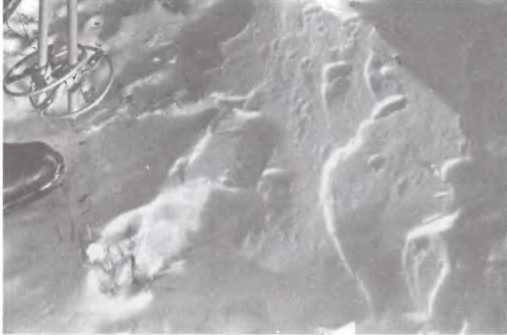 Перевал Дятлова. Загадка гибели свердловских туристов в феврале 1959 года и атомный шпионаж на советском Урале i_017.jpg