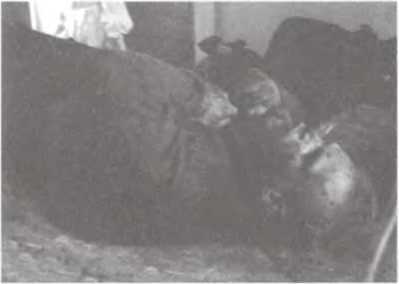 Перевал Дятлова. Загадка гибели свердловских туристов в феврале 1959 года и атомный шпионаж на советском Урале i_032.jpg