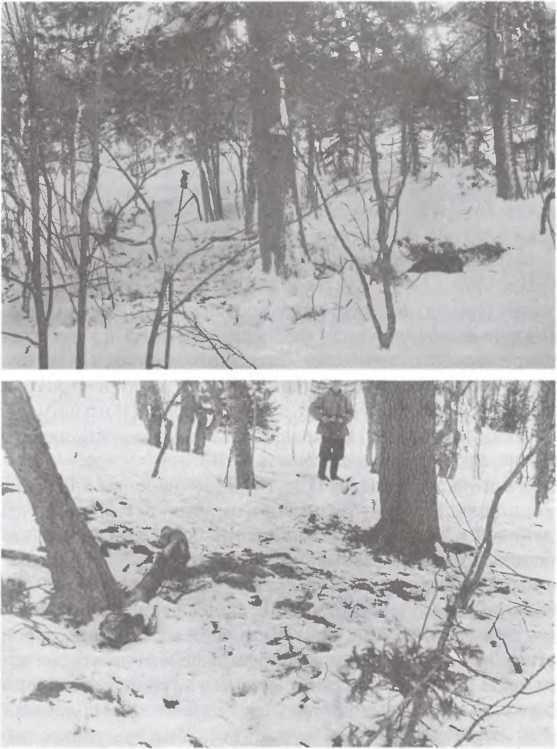 Перевал Дятлова. Загадка гибели свердловских туристов в феврале 1959 года и атомный шпионаж на советском Урале i_037.jpg
