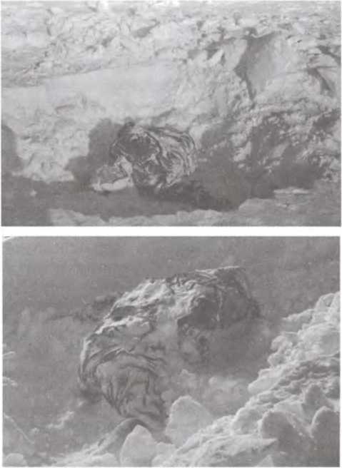 Перевал Дятлова. Загадка гибели свердловских туристов в феврале 1959 года и атомный шпионаж на советском Урале i_040.jpg