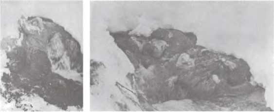 Перевал Дятлова. Загадка гибели свердловских туристов в феврале 1959 года и атомный шпионаж на советском Урале i_060.jpg