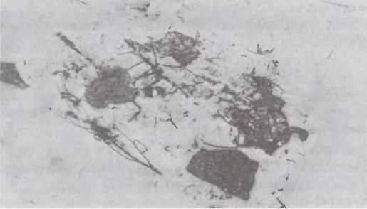 Перевал Дятлова. Загадка гибели свердловских туристов в феврале 1959 года и атомный шпионаж на советском Урале i_062.jpg