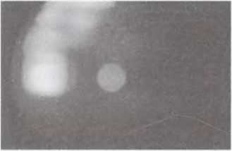 Перевал Дятлова. Загадка гибели свердловских туристов в феврале 1959 года и атомный шпионаж на советском Урале i_161.jpg