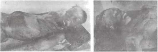 Перевал Дятлова. Загадка гибели свердловских туристов в феврале 1959 года и атомный шпионаж на советском Урале i_181.jpg