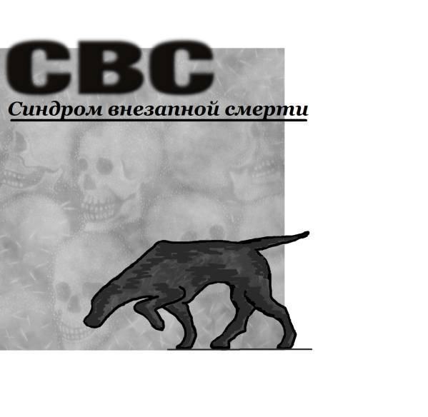 СВС (Синдром Внезапной Смерти) _0.jpg