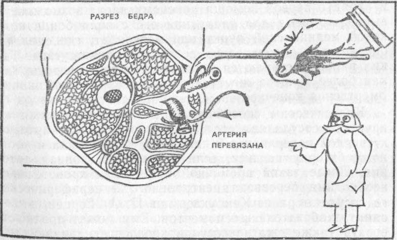 Хирургия без чудес. Очерки, воспоминания img_19.jpg