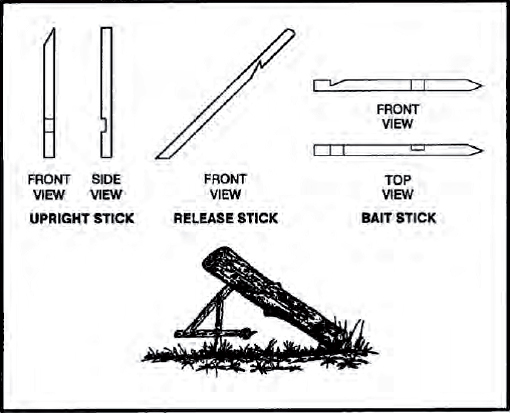 The Complete U.S. Army Survival Guide to Foraging Skills, Tactics, and Techniques _23.jpg