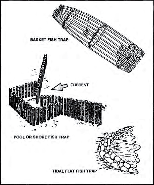 The Complete U.S. Army Survival Guide to Foraging Skills, Tactics, and Techniques _33.jpg