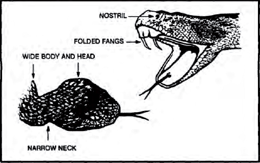 The Complete U.S. Army Survival Guide to Foraging Skills, Tactics, and Techniques _50.jpg