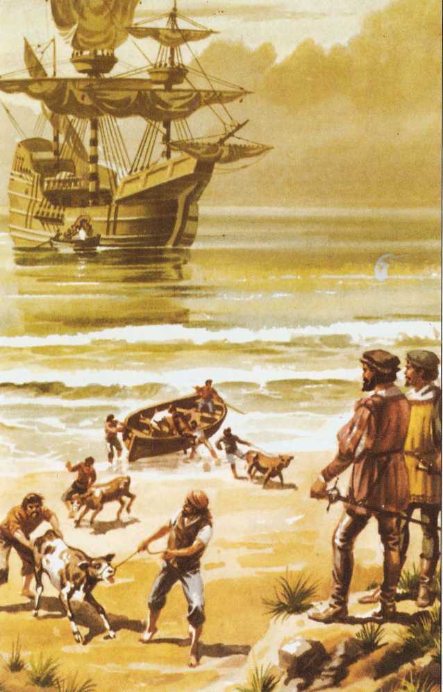 Пираты. Индейцы. Ковбои image33.jpg