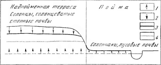 Биокосные системы Земли i_006.jpg